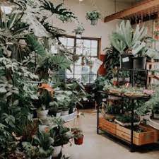 Maybe you would like to learn more about one of these? Best Plant Nurseries Near Me August 2021 Find Nearby Plant Nurseries Reviews Yelp