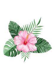 Hibiscus Art Art Hibiscus Flower Printable Hawaii Flowers Illustration Art Drawing