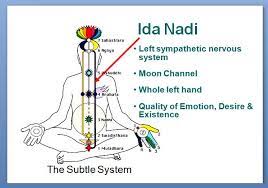 Authors c c streeter 1. Yoga For Brain And Nervous System Health Inspired By Bihar School Of Yoga Gems Of Yoga