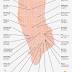 This map shows you where to find 26 of the best hidden bars in New ...