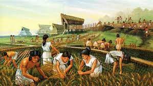 Terdiri daripada dua zaman iaitu paleolitik awal dan akhir. Sejarah B3t1 Qz2 History Quizizz