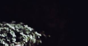 Baileys Maison Bien Meilleur Que L Original Recette Vin D Orange Recettes De Cuisine Recettes De Boissons