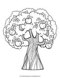 Find thousands of free and printable coloring pages and books on coloringpages.org! Apple Tree Coloring Page Free Printable Pdf From Primarygames