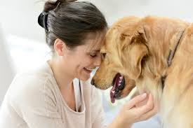 Manno's told her about a pet funeral home in west seattle called resting waters, opened in. Pet Bereavement Course Certificate