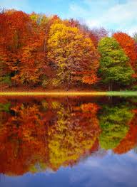 Most popular hd wallpapers for desktop / mac, laptop, smartphones and tablets with different resolutions. 90 000 Best Autumn Wallpaper Photos 100 Free Download Pexels Stock Photos