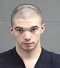 Teen 'horror' blogger shot her abusive stepfather, then stabbed her mother  more than 30 times