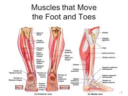 Maybe you would like to learn more about one of these? Not All Calf Pain Comes From The Neurokinetic Therapy Facebook