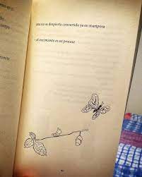 Pin En Mariposas
