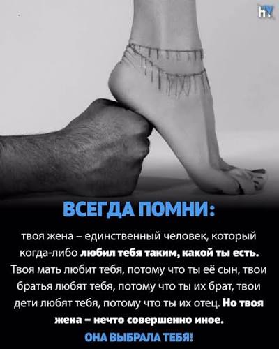 Омар Хайям и великие философы on Instagram