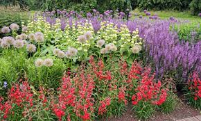Petals from all types of rose, like dog its pink flowers appear from june to july. Seasonal Gardening June In The Flower Garden