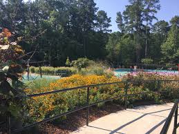 We did not find results for: Raleigh Parks Harmony Realty Triangle