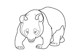Giant pandas look like bears but they have a distinctive black and white appearance. 30 Free Panda Coloring Pages Printable