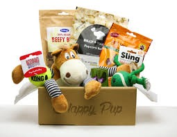 Isn't this the sweetest little gift box?! 10 Of The Best Dog Subscription Boxes Gift For Dogs
