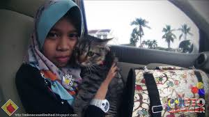 No 8 jalan cermai 1, taman mesra saleng , senai, johor no. Gebooz Gedikz Vaksin Klinik Veterinar Johor Bahru