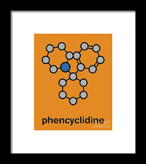 Image result for Phencyclidine