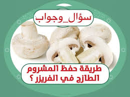 طريقة حفظ المشروم الطازج في الفريزر سؤال وجواب منال العالم Youtube