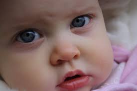 The Red Deer: July 2009