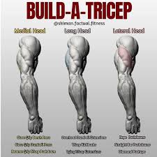 Pin Auf Healthy Tips