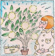3.8 out of 5 stars. I Have The Tree Where S The Grapefruit The New York Times