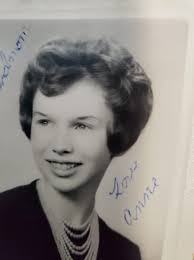 Bouffant vs Beehive hairstyle differences?