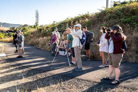 Birding brigade brandishes binoculars
