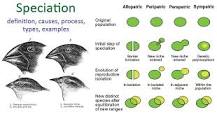 Image result