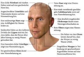 Pickel stehen als traumsymbole für ein ende und einen neubeginn. Antlitzdiagnose Wie Sie Funktioniert Und Wie Man Sie Lernt