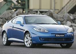 Image result for Hazelnut 2004 Tiburon