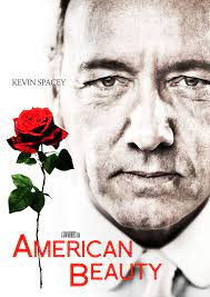 1001 Tardes Cine Peliculas Cine Belleza Americana