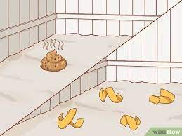 Aggresive, barking, poor recall response, etc How To Stop A Dog From Digging 11 Steps With Pictures Wikihow Pet