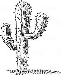 Black And White Cactus Drawing Hand Drawn Vector Drawing Of A Cactus Plant Black And White Sketch Cactus Drawing Black And White Sketches Drawings