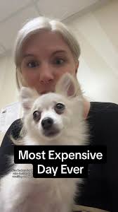 So the only option is to let your pet suffer or not be able to pay your  bills? These are human hospital prices… #vet #veterinarian #pets  #petsoftiktok #dog #dogsoftiktok #inflation
