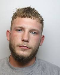 A driver who dragged a police officer along the ground beside his car while  attempting to flee after being pulled over in Swindon has been jailed.  Matthew Turley put his foot down