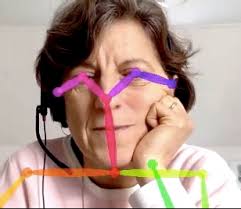 Multimodal Behaviour in an Online Environment: The GEHM Zoom Corpus  Collection