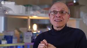 PRÉMATURATION IP Paris