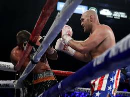 Tyson fury's promoter frank warren is not happy that eddie hearn leaked news on the world title anthony joshua v tyson fury is signed according to promoter eddie hearn, but there are still. Boxen Tyson Fury Schlagt Tom Schwarz K O Und Verblufft Dann Mit Geste Mehr Sport