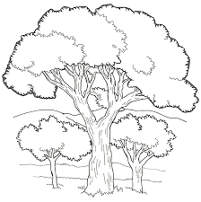Every sheet is also an effective and fun. On Noah S Ark Trees 4