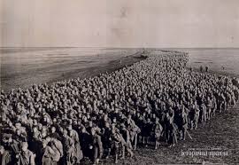 Картинки по запросу чорносвитники