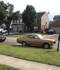 Image result for Golden Fawn 1974 Dodge