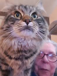 Hi I'm Donna from Scotland and would love a penal he or she xx