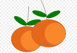 Find illustrations of orange cartoon. Chinese New Year Food Cartoon