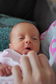 Rose Hood 060609_0002.jpg