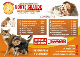 Centro Veterinario Norte Grande