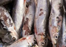 Mengubah bahan mentah menjadi makanan siap saji atau bahan setengah jadi Contoh Soal Pengolahan Bahan Pangan Hasil Peternakan Dan Perikanan Sekilas Bahan