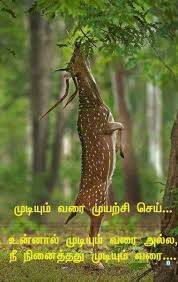 This dictionary has the largest database for word meaning. 180 Tamil Ideas Photo Album Quote Life Quotes Quotes