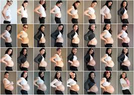 Resultado de imagen para fotos de embarazos para whatsapp