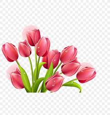 Tulip clip art, hand painted tulips, pink tulips clipart, scrapbooking clipart, spring flowers, blossom. Tulip Flower Bouquet Clip Art Png 1536x1600px Tulip Color Cut Flowers Drawing Floral Design Download Free