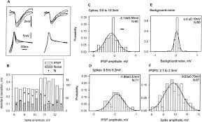 The cac is used by The Performance Of Synapses That Convey Discrete Graded Potentials In An Insect Visual Pathway Journal Of Neuroscience