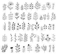 Hand Drawn Herbs And Branches Floral Drawing Flower Drawing Floral Doodle When customizing multiple shirt sizes with the same design;