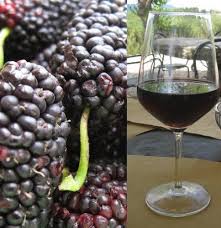 When it comes to blackberries, you will be competing with plentiful other pickers all searching for the best stash.if you do find a really good location then it will alternatively, you could make a delicious blackberry and apple pie or jam to compliment your wine. Homemade Wine Recipes With Simple Instructions For Your Country Wine Making